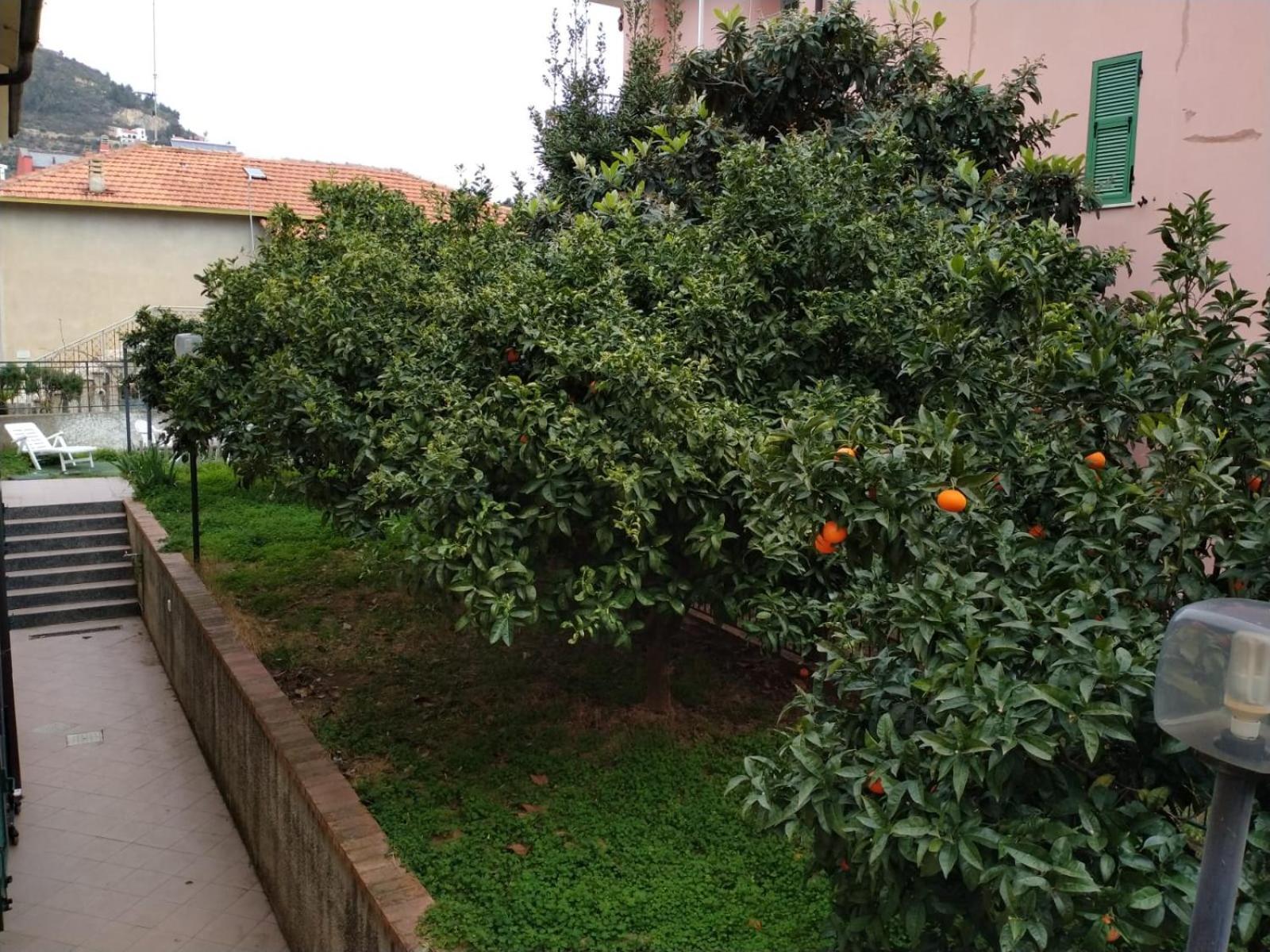 La Casa Di Cri Al Mare Due Villa Borgio Verezzi Eksteriør bilde